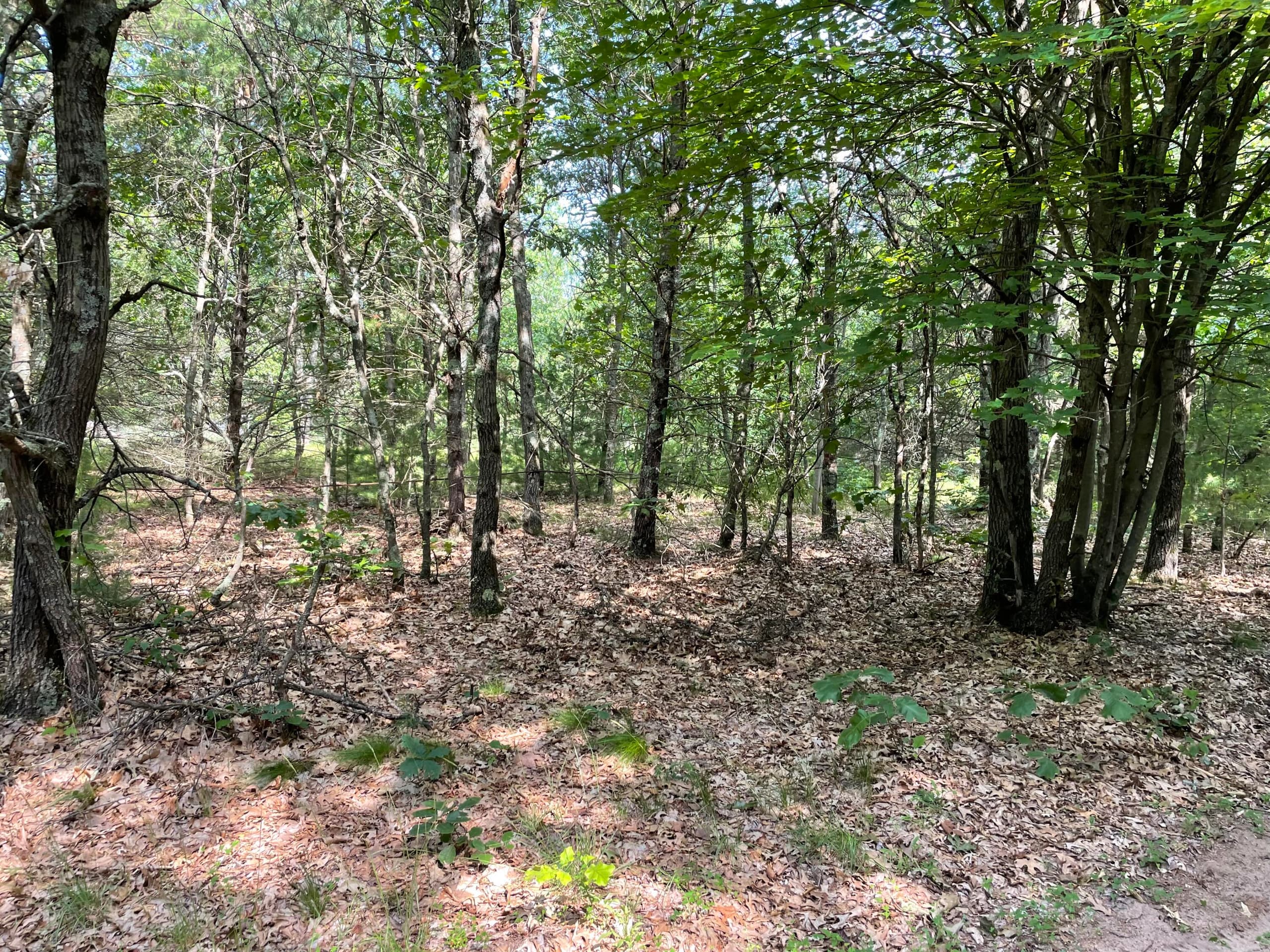 Ewing Road, Holton, MI 49425