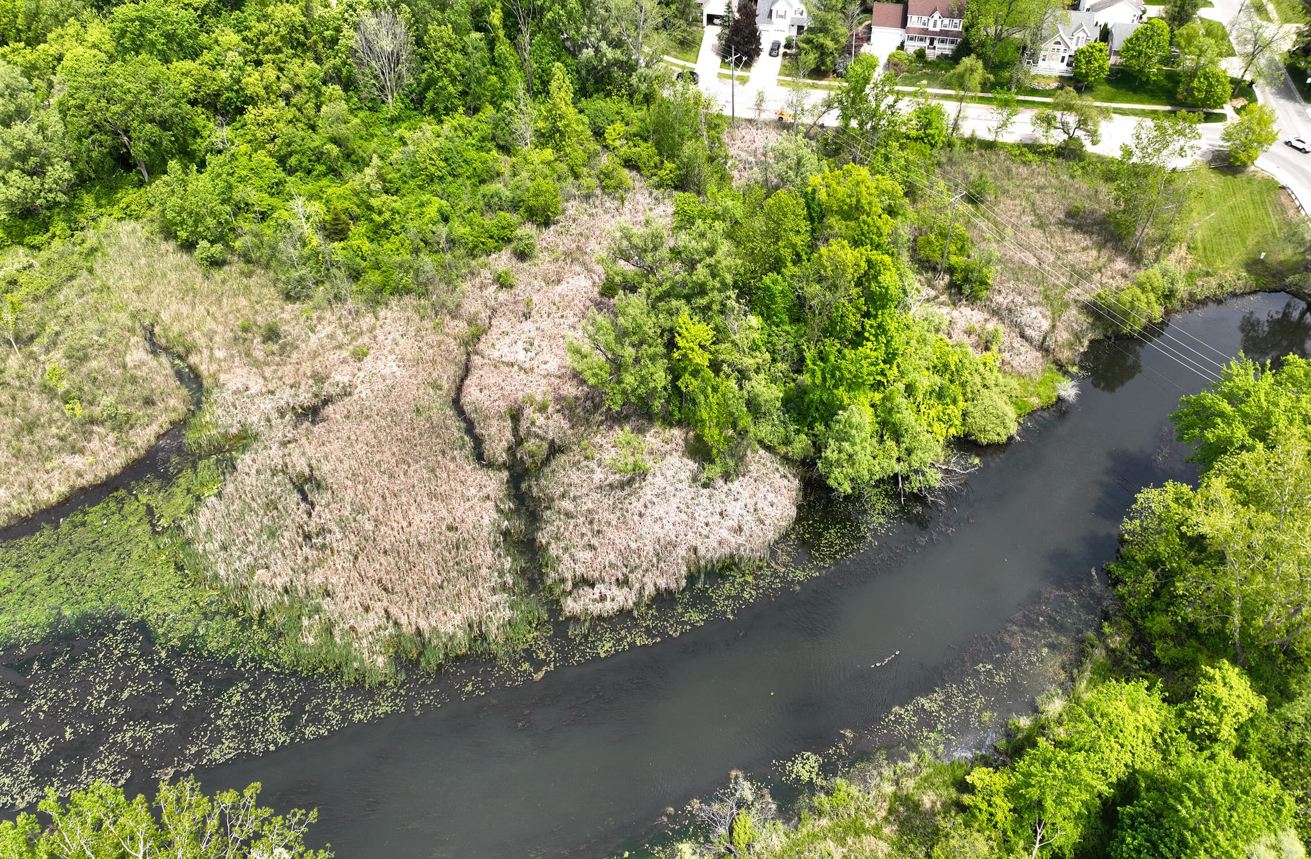 144 River Drive D, Milford, MI 48381