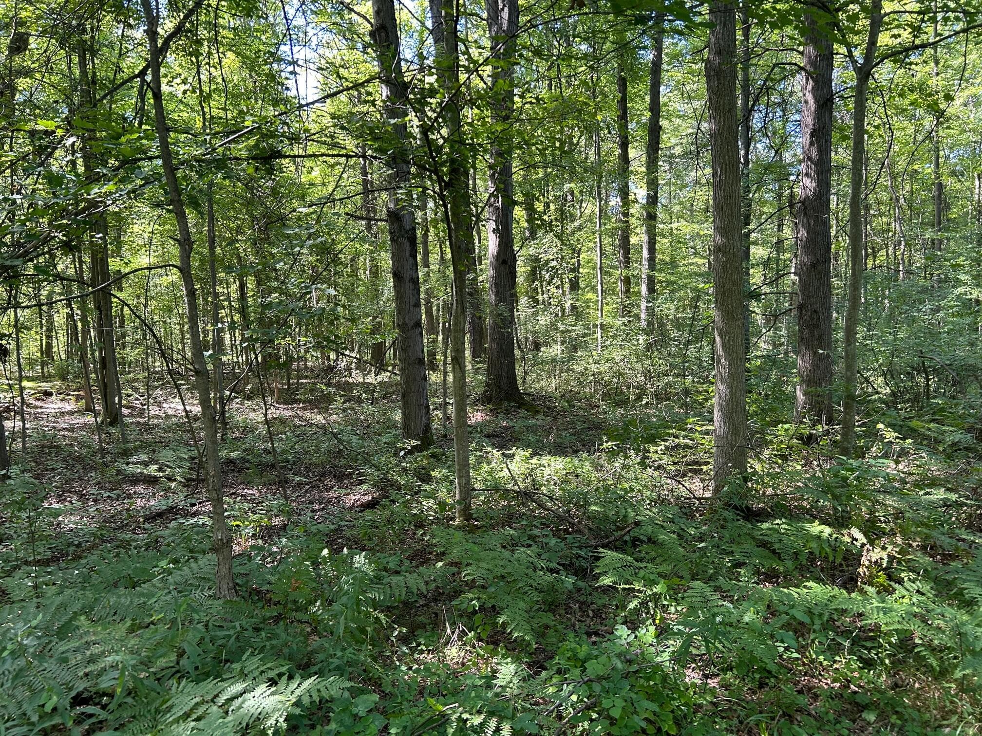 3250 W Isabella Road, Shepherd, MI 48883