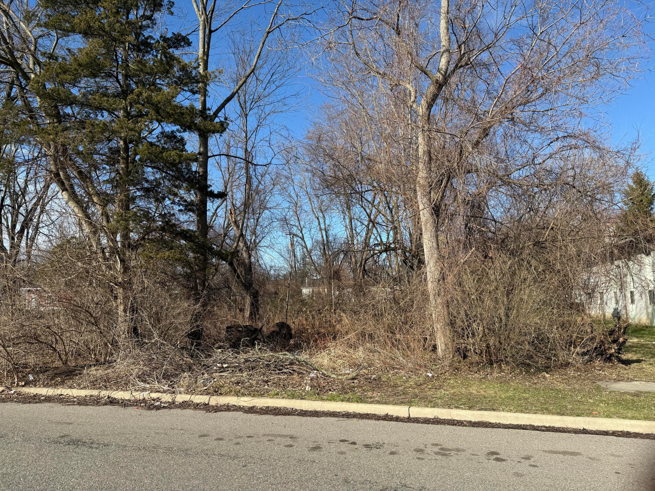 Tromley Street, Inkster, MI 48141