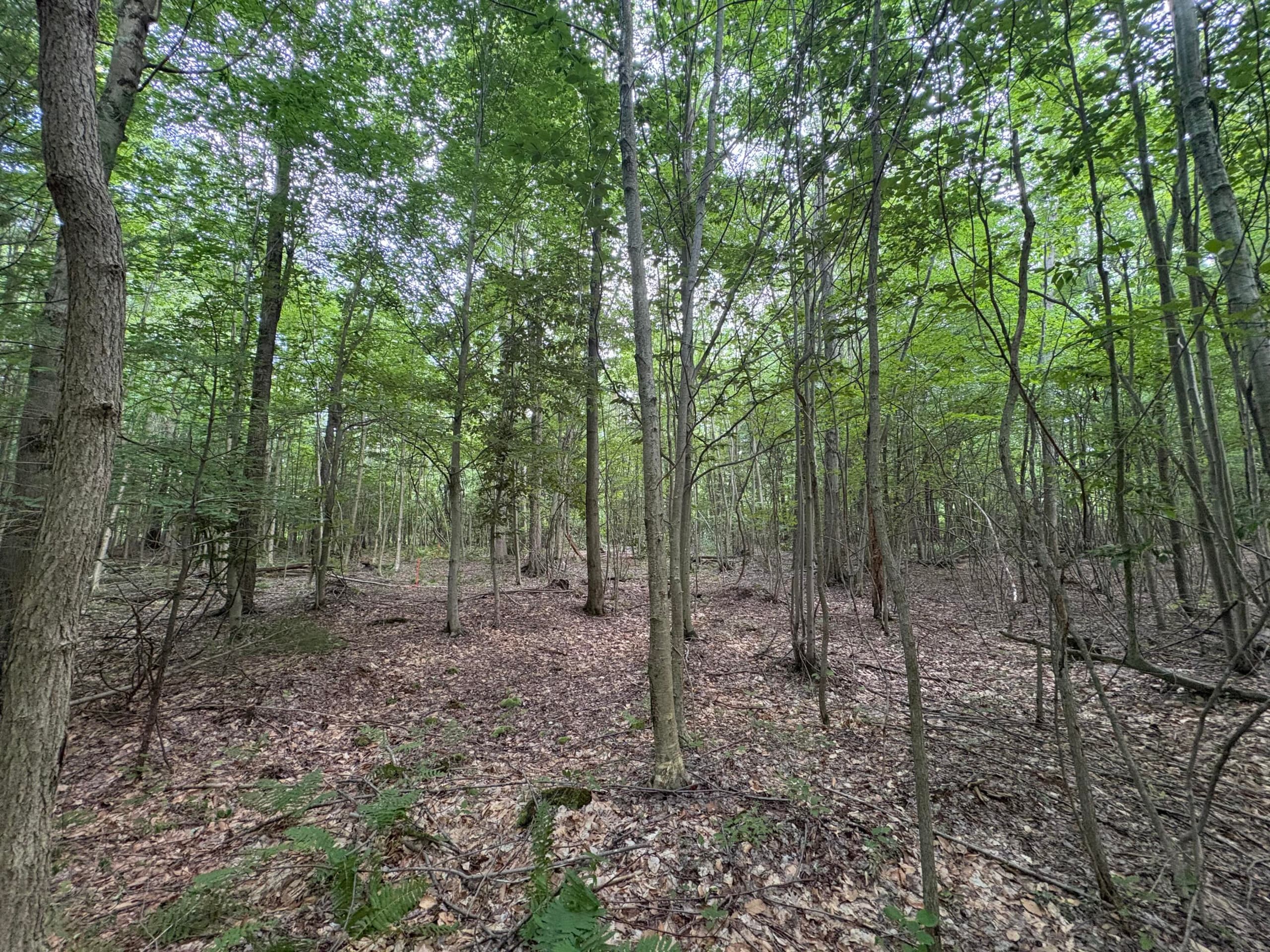109th Avenue, Pullman, MI 49450