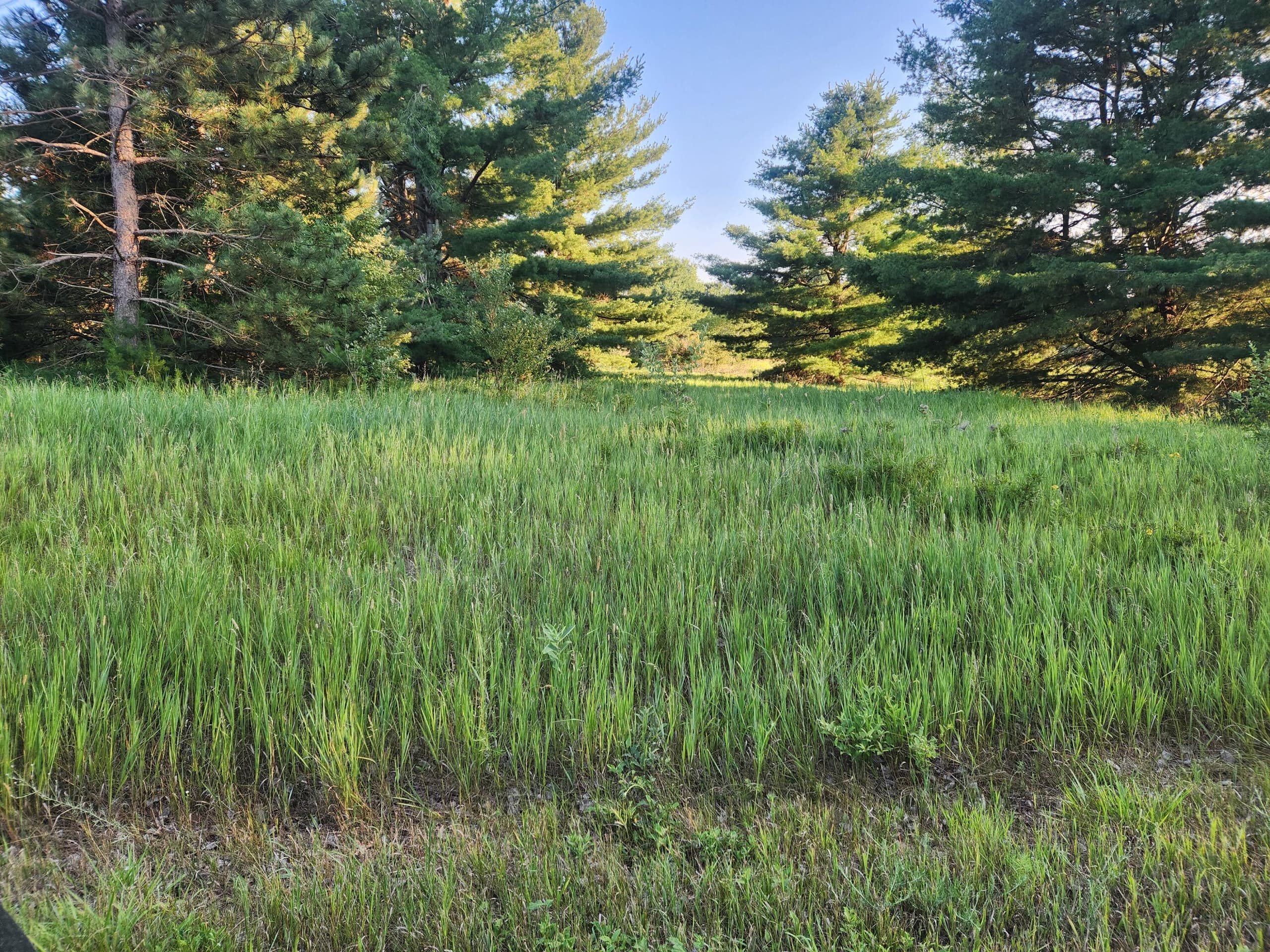 11535 Pierce Road 786, Canadian Lakes, MI 49346