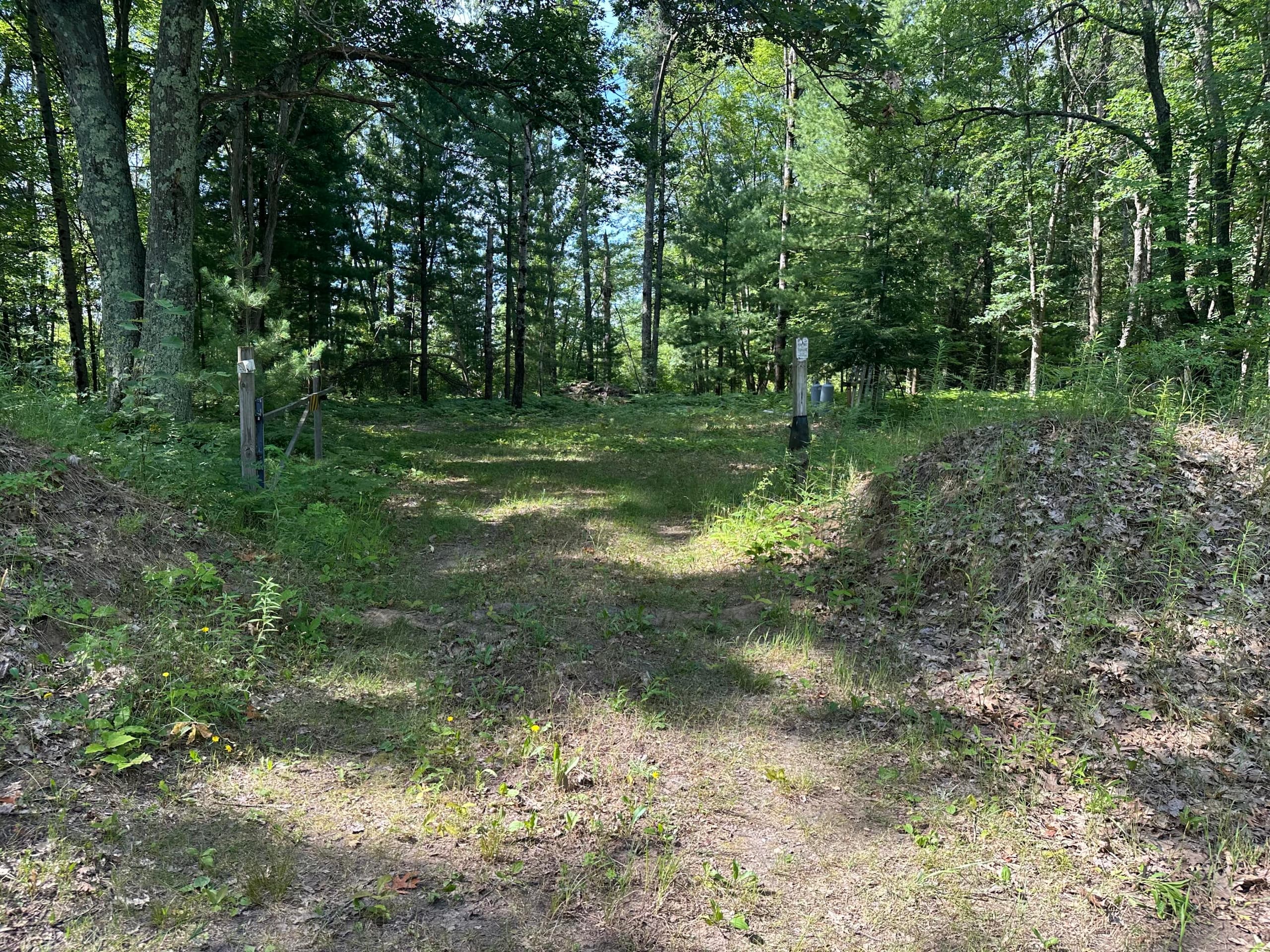 802 Beaver Road, Bitely, MI 49309