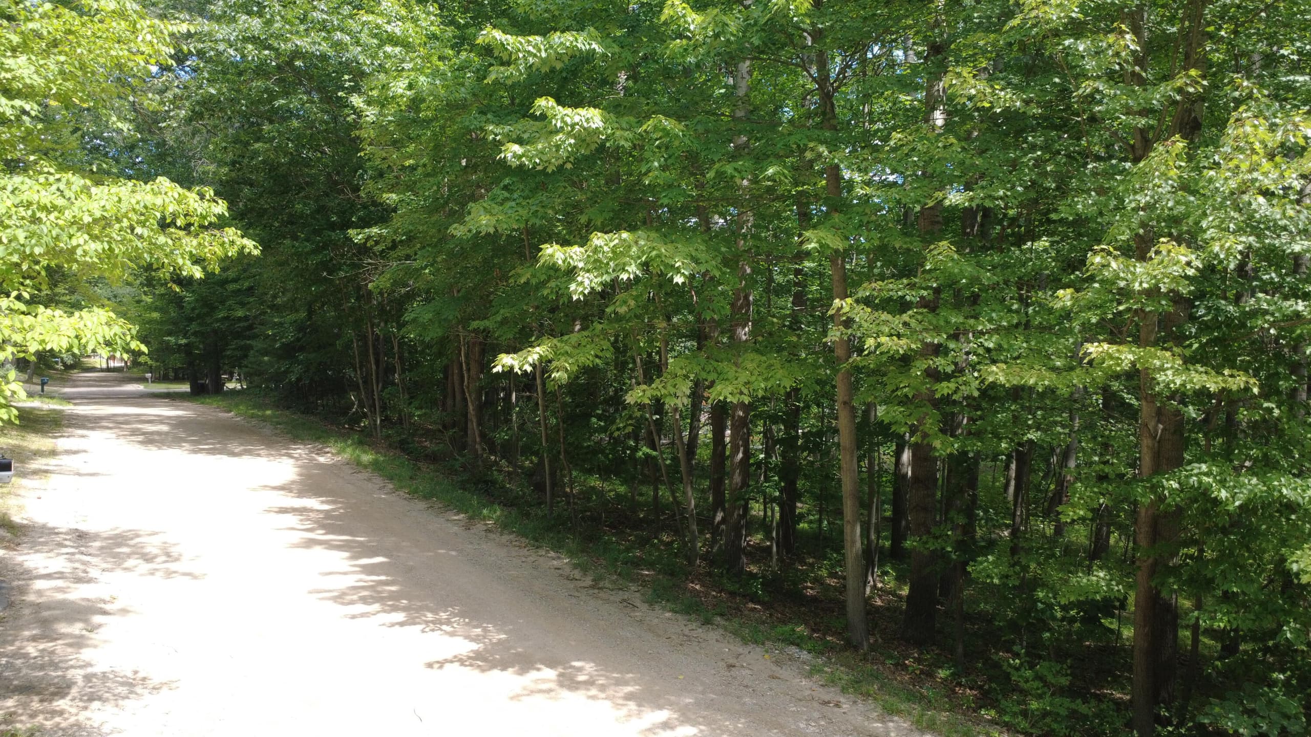 11113 Rambling Way, Canadian Lakes, MI 49346