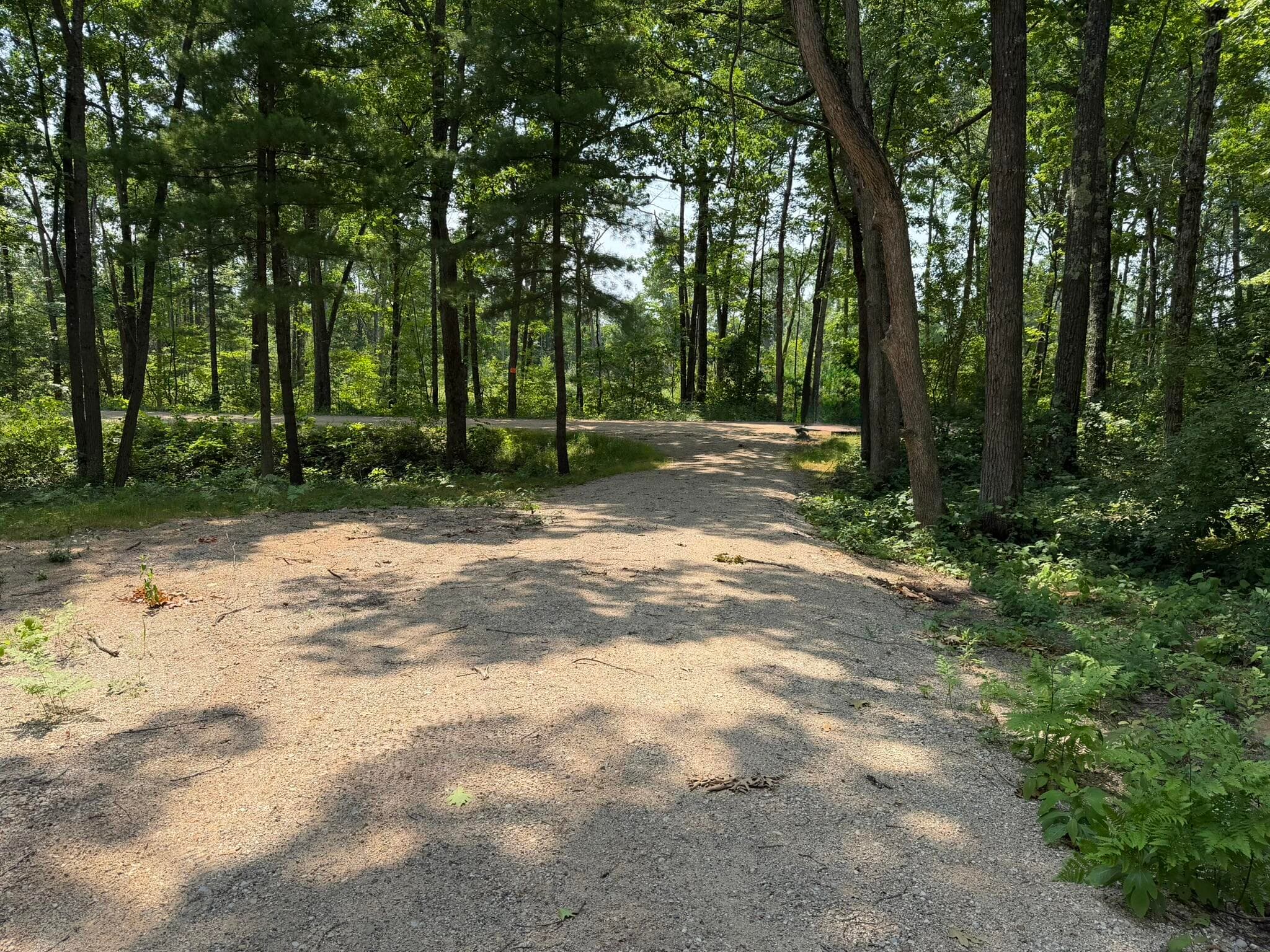 Steinberg Road, Wellston, MI 49689