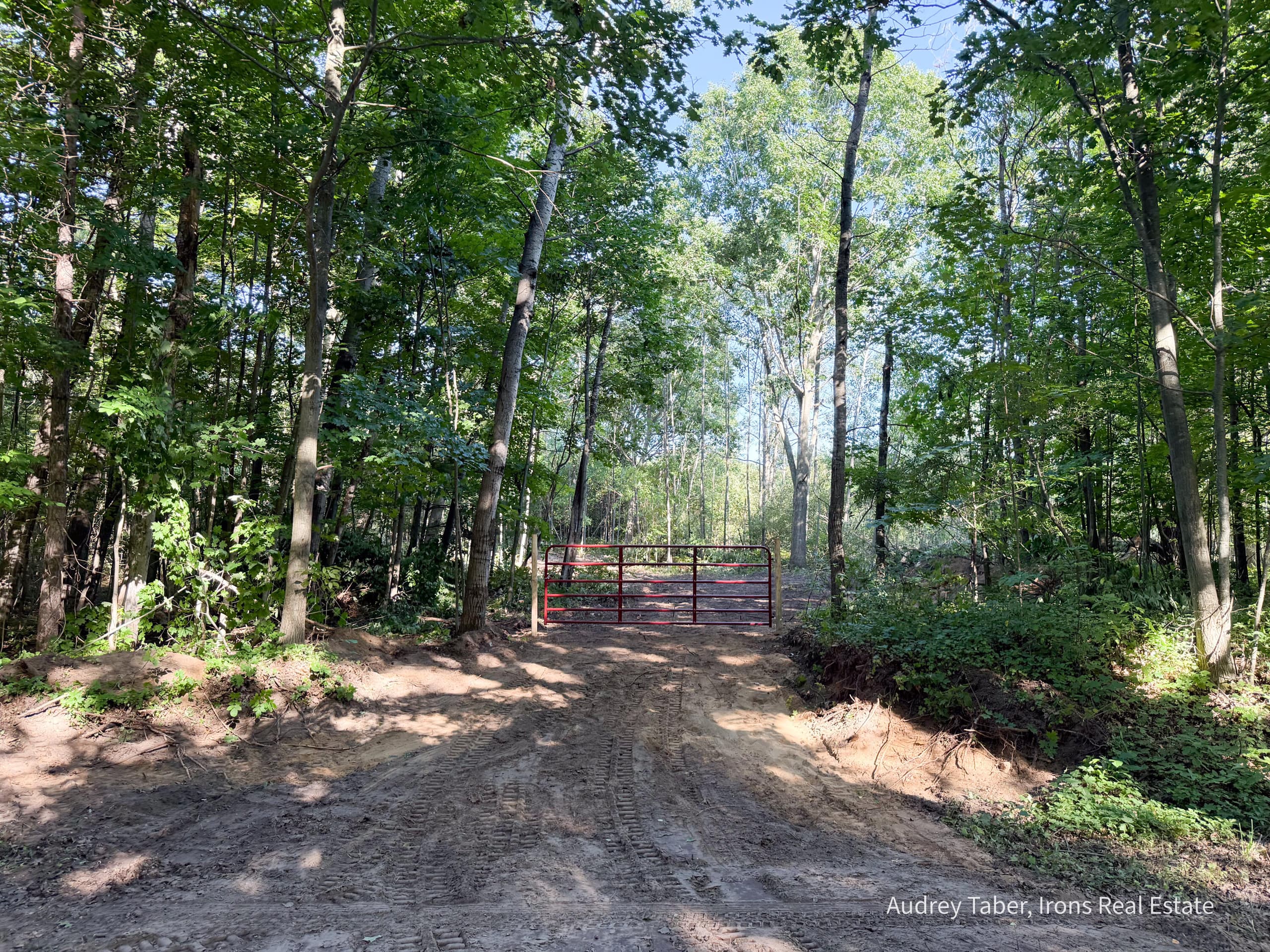 Par 3 Clements Road, Kaleva, MI 49645